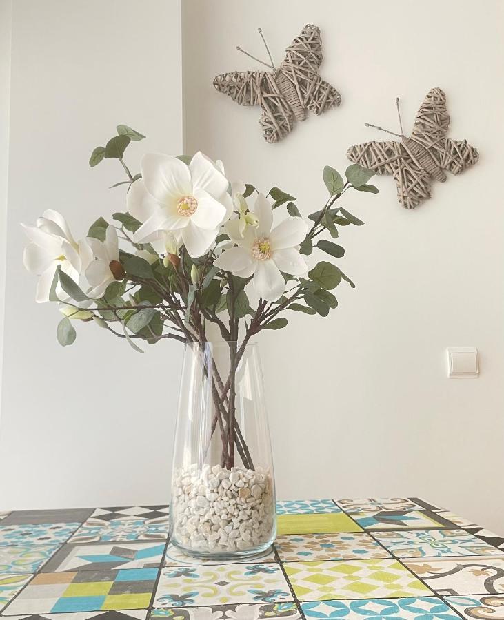 Apartamento Pinares Appartement Soria Buitenkant foto